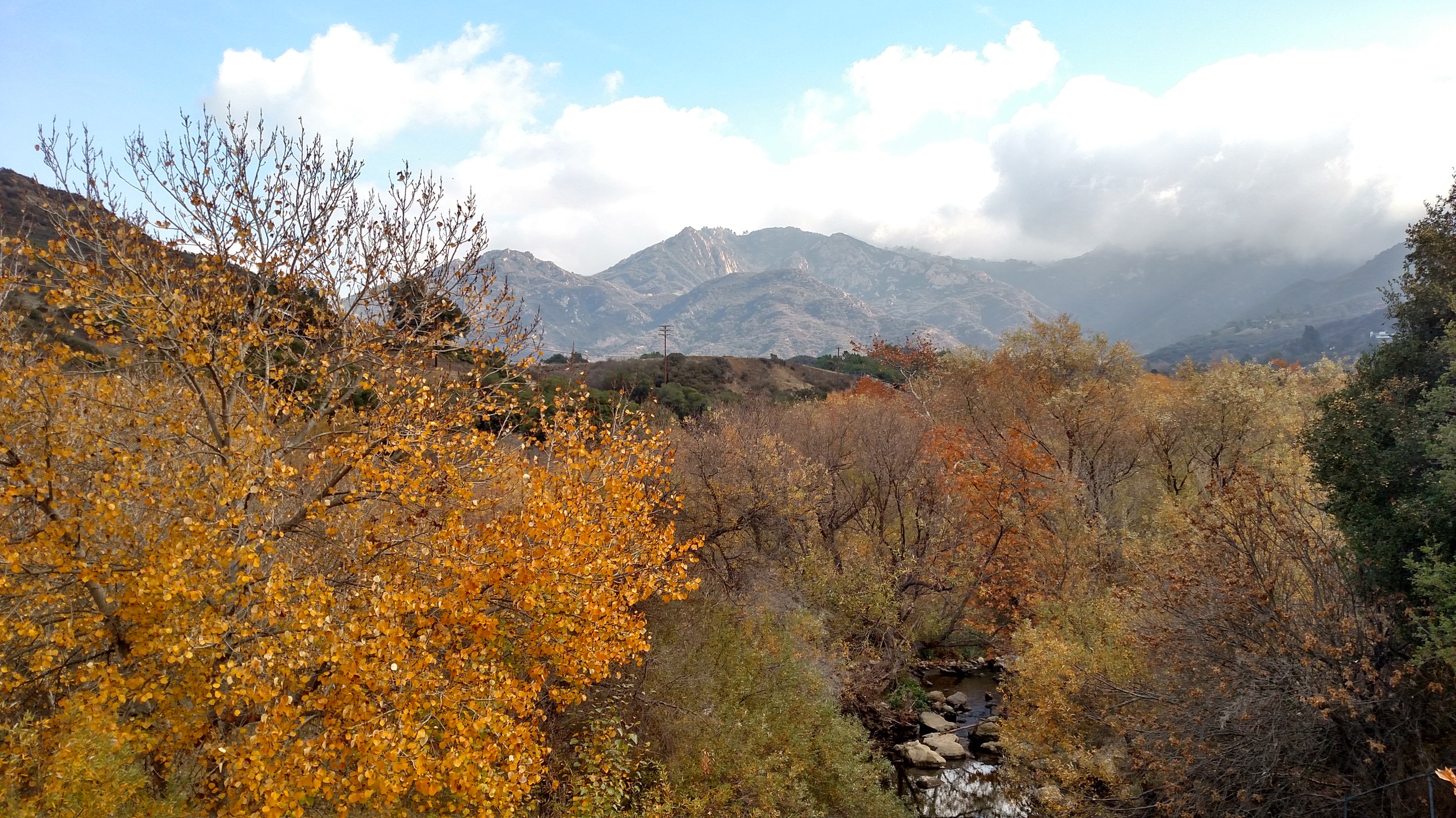 Photo by Micah Tasaka at Malibu Creek State Park, Los Angeles, CA