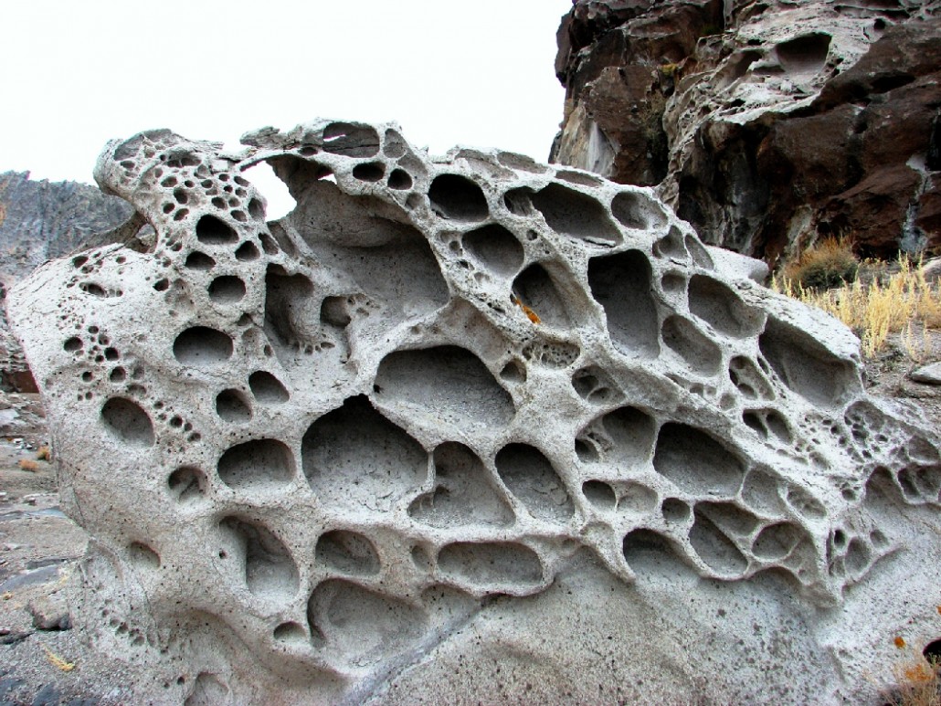 precedent research //utah lava forms//