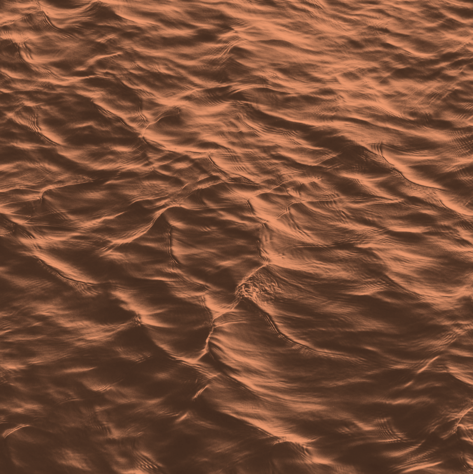 Divine Healing/Clearing Pathways (90 min)