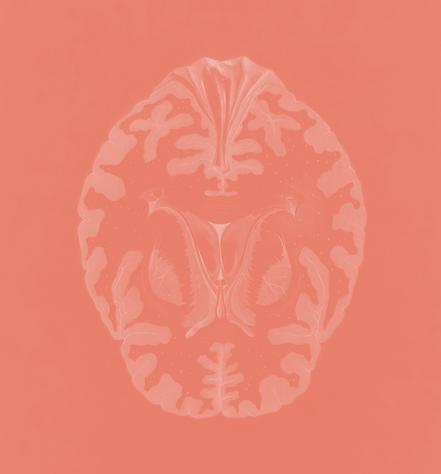 Mastering The Brain Game Coaching (individual)