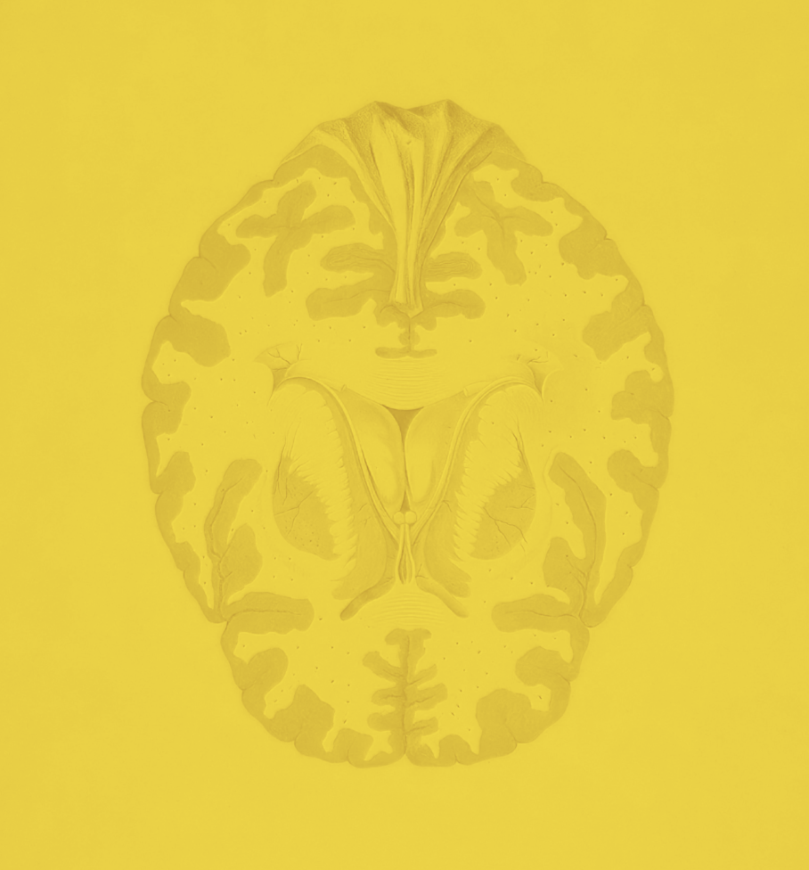 Post Brain Game Integration Session (60 min)