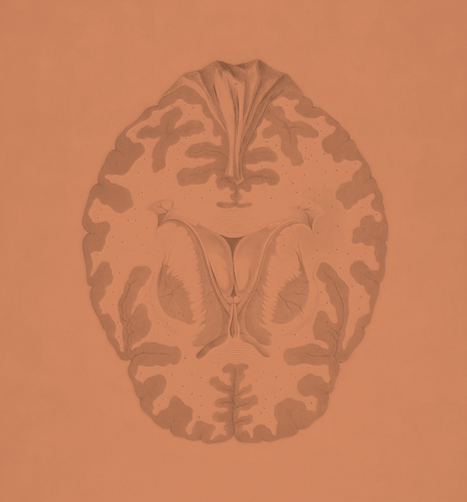 Payment Plan: Group Class - Mastering The Brain Game Coaching