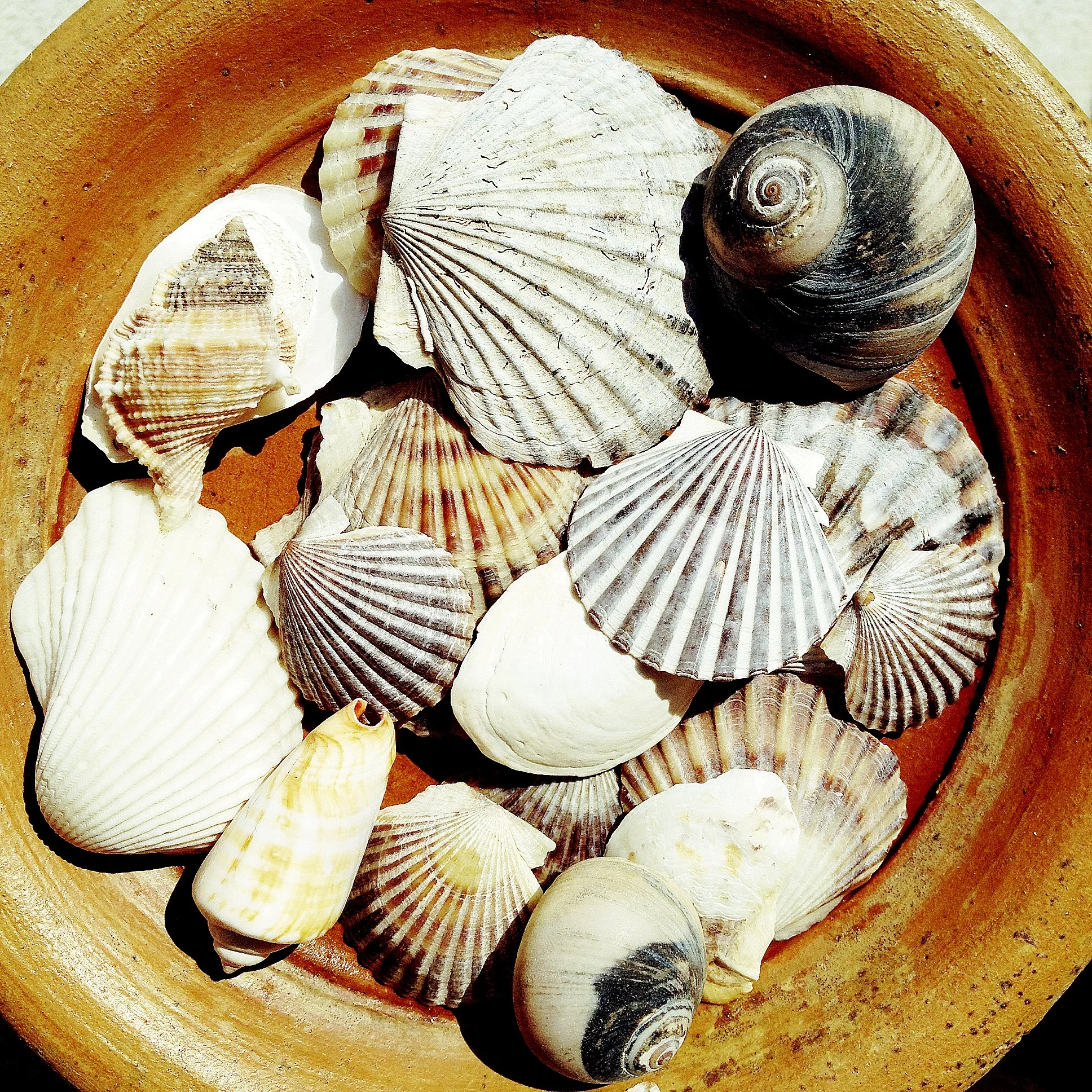 Wellfleet, Cape Cod