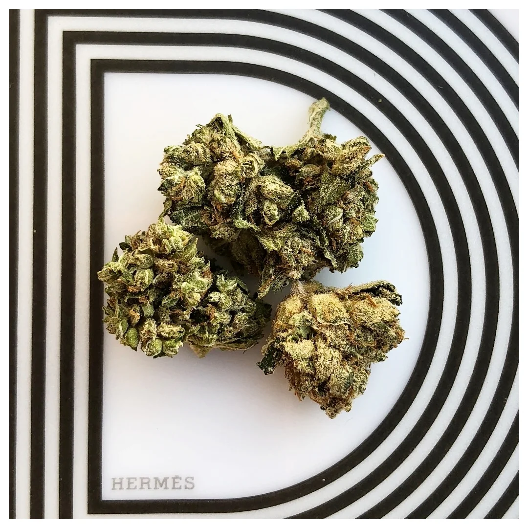 King Louis XIII Kush