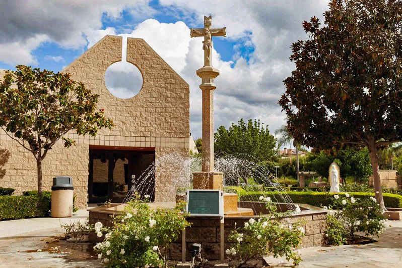 Backyard Theology: "Living out the Will of God."