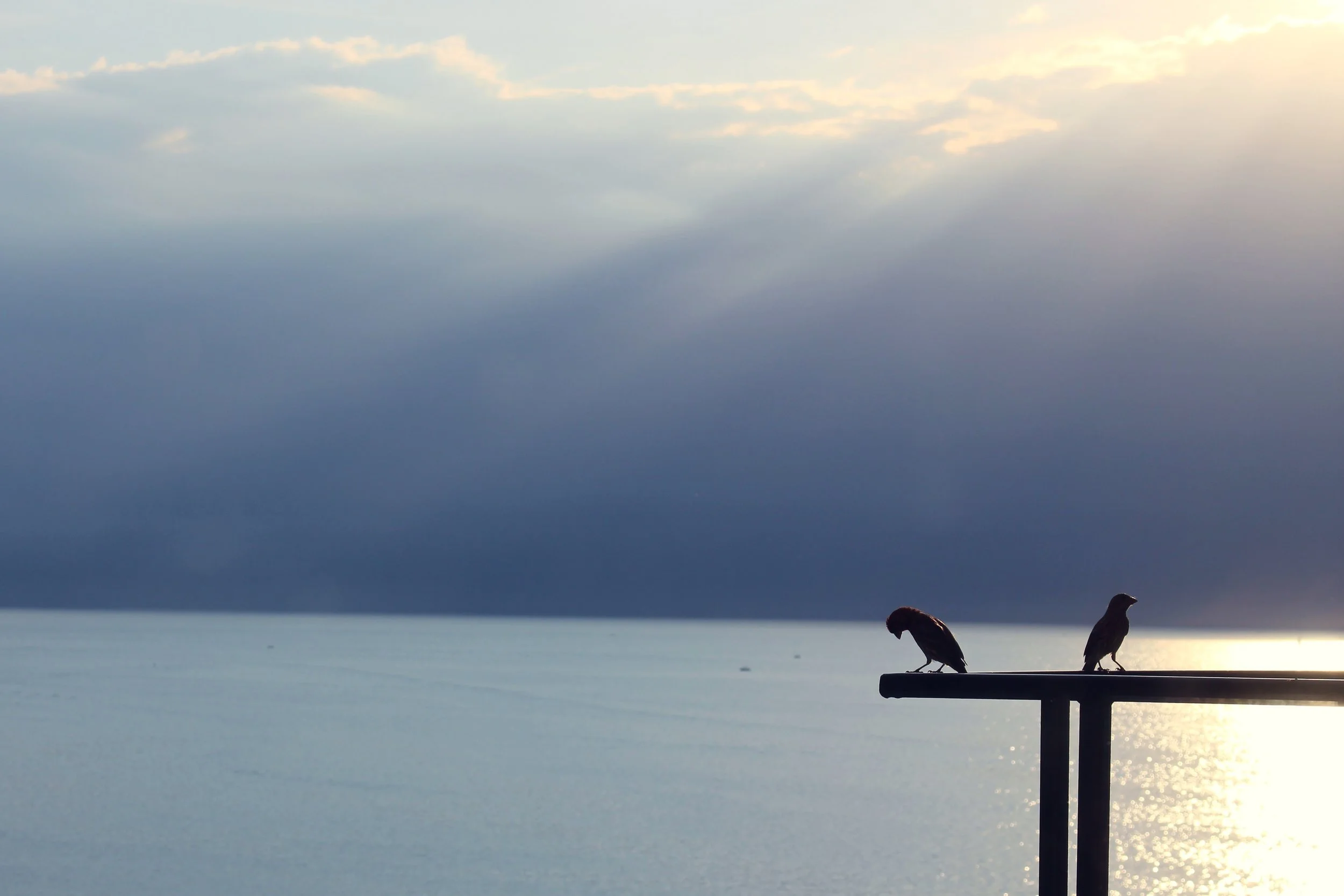 Sitting on my Doorstep