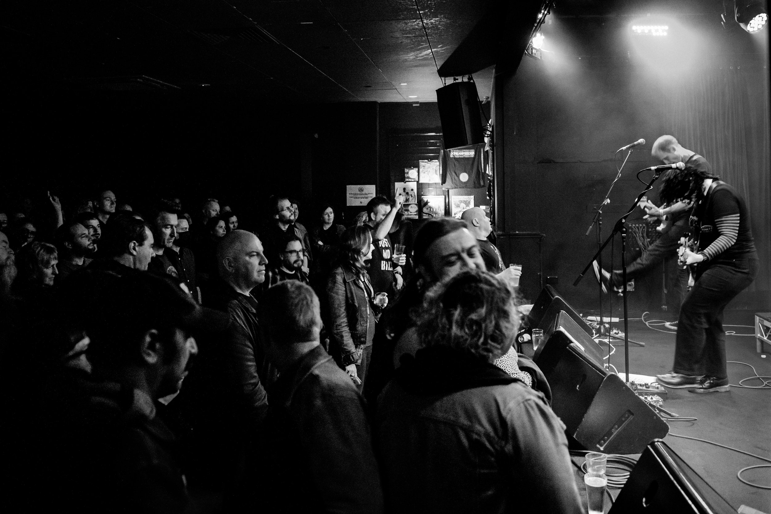 Screamfeeder NSC - JKC-50.jpg