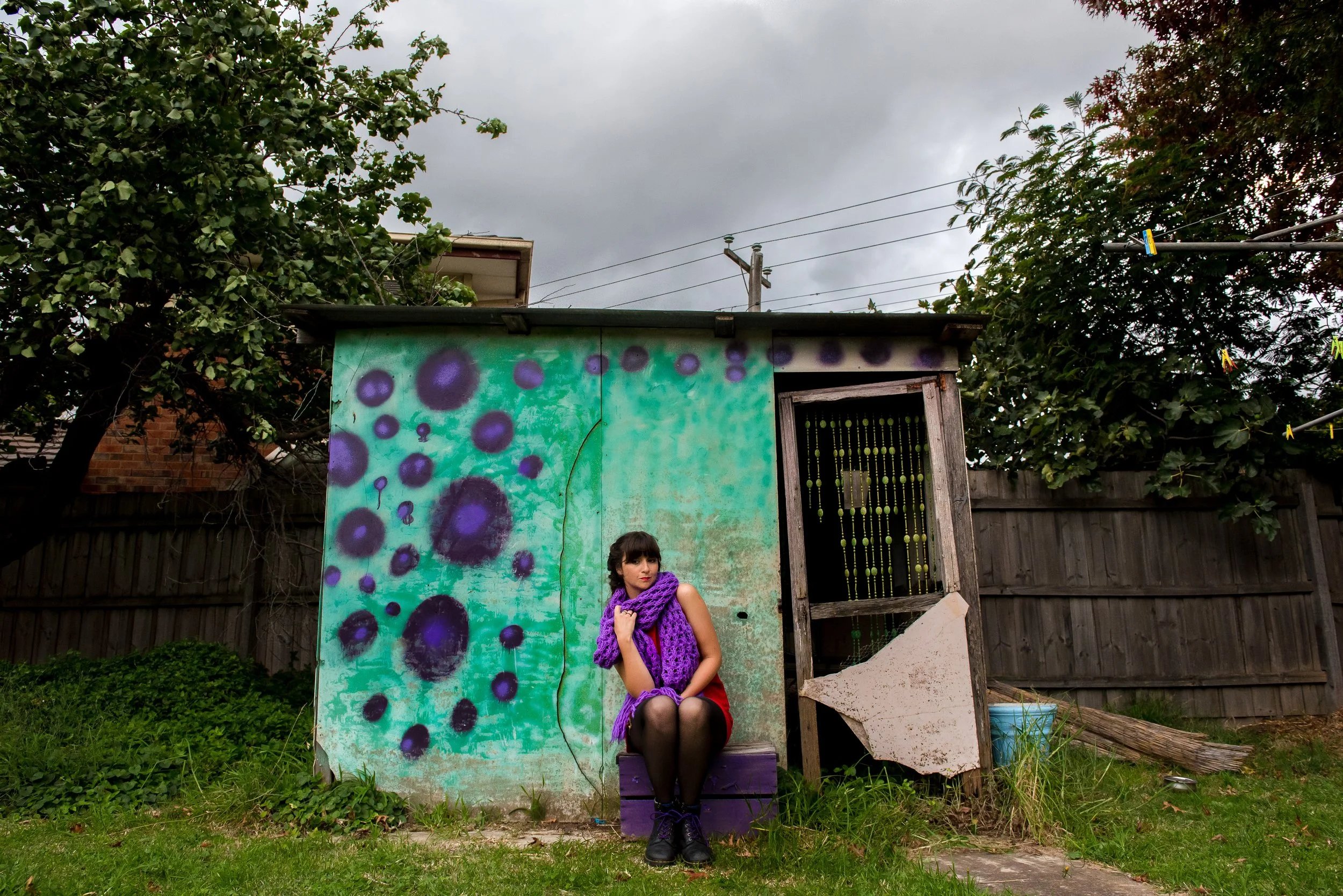 2020-04-17 - outside tree and shed-4.jpg