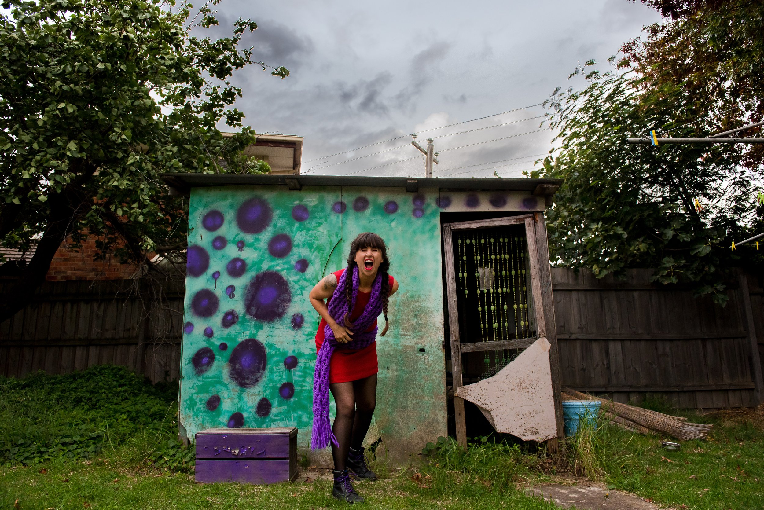 2020-04-17 - outside tree and shed-6.jpg