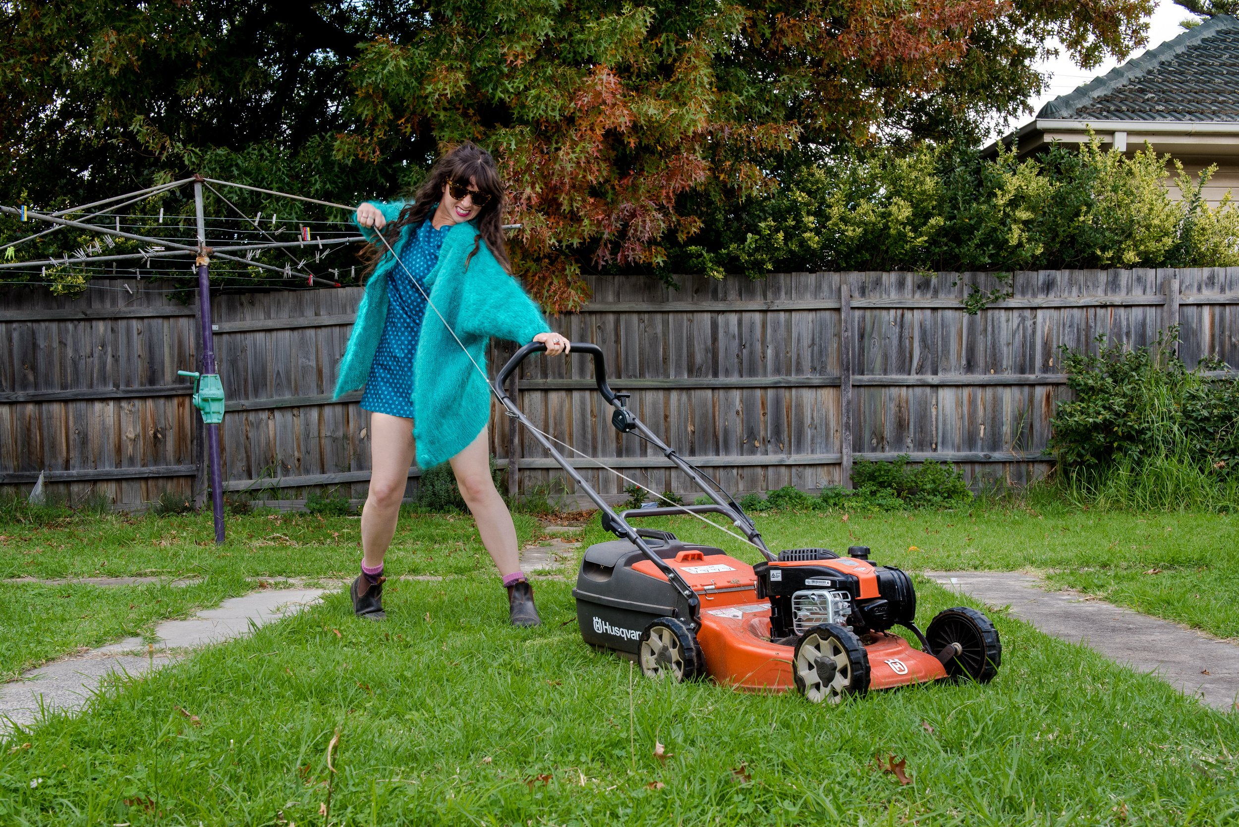 2020-04-18 - outside tree and shed-2.jpg
