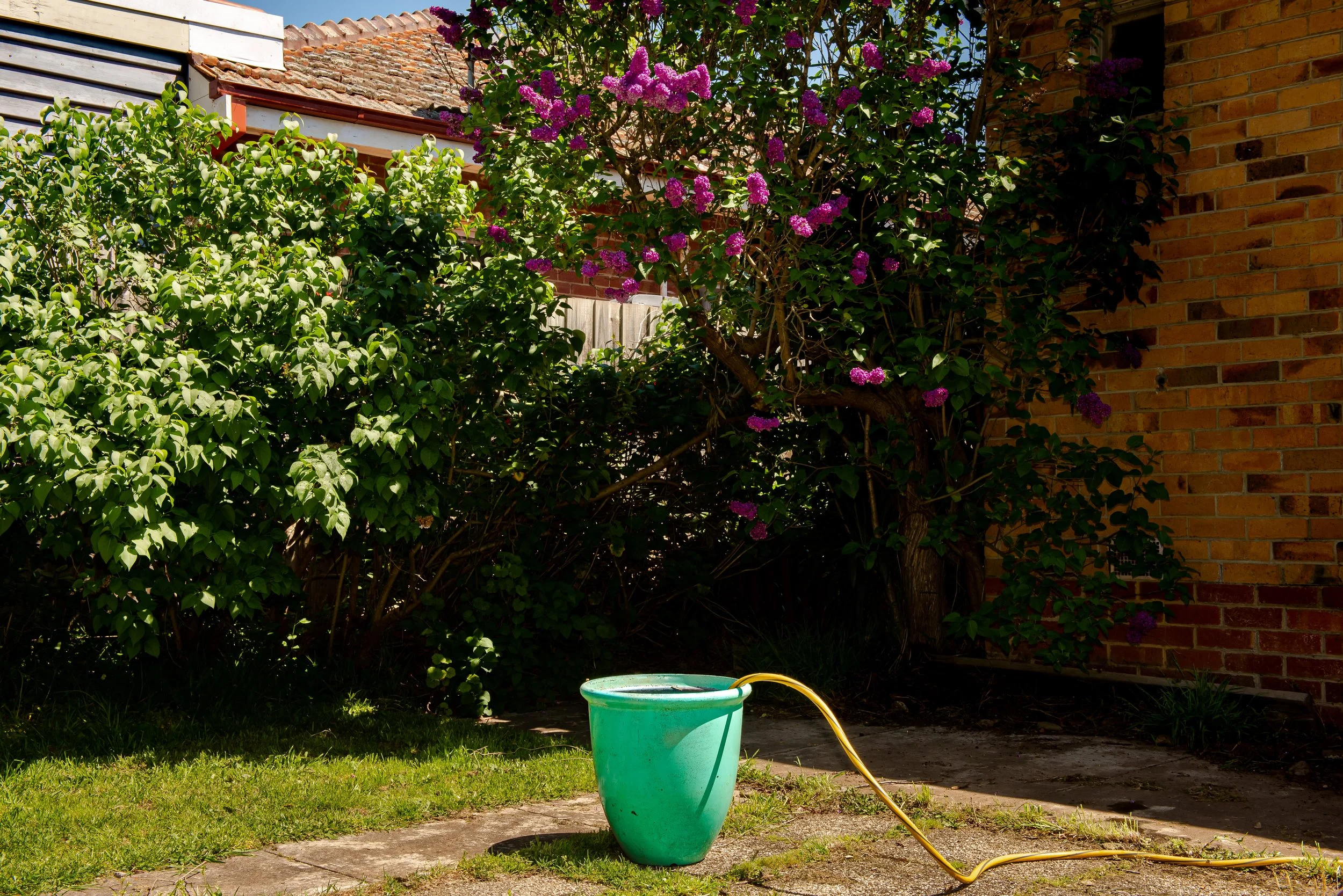 plant pot covid diaries-3.jpg