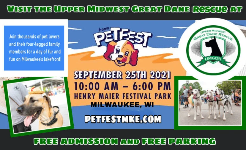 chuck and dons fromm