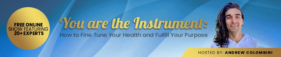 You Are The Instrument: How To Fine Tune Your Health And Fulfill Your Purpose