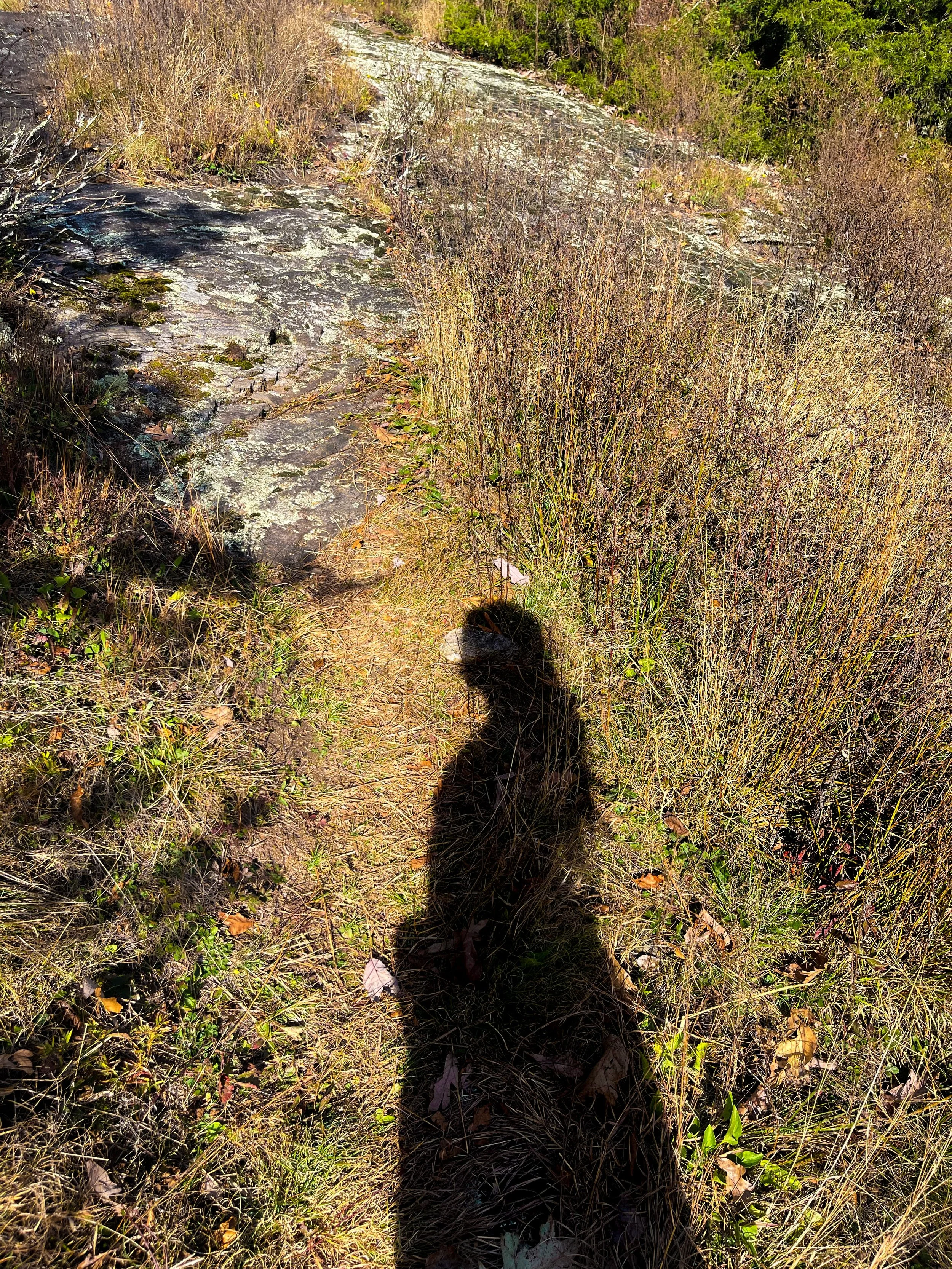 10-2025_appalachianIMG_9296v2.jpg