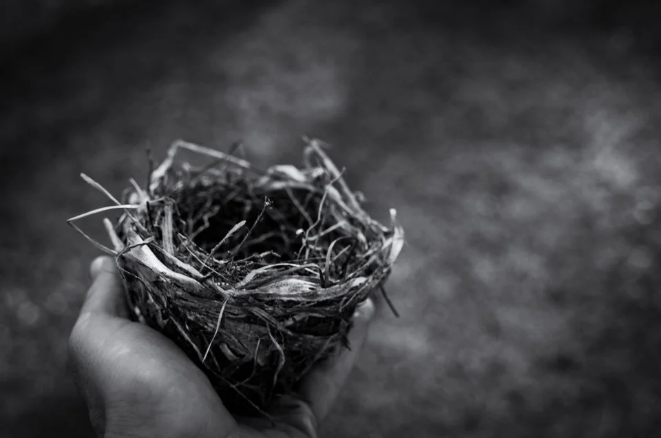 Photo by Jerry Kiesewetter on Unsplash