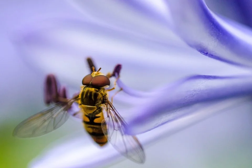Photo by Dominik Scythe on Unsplash