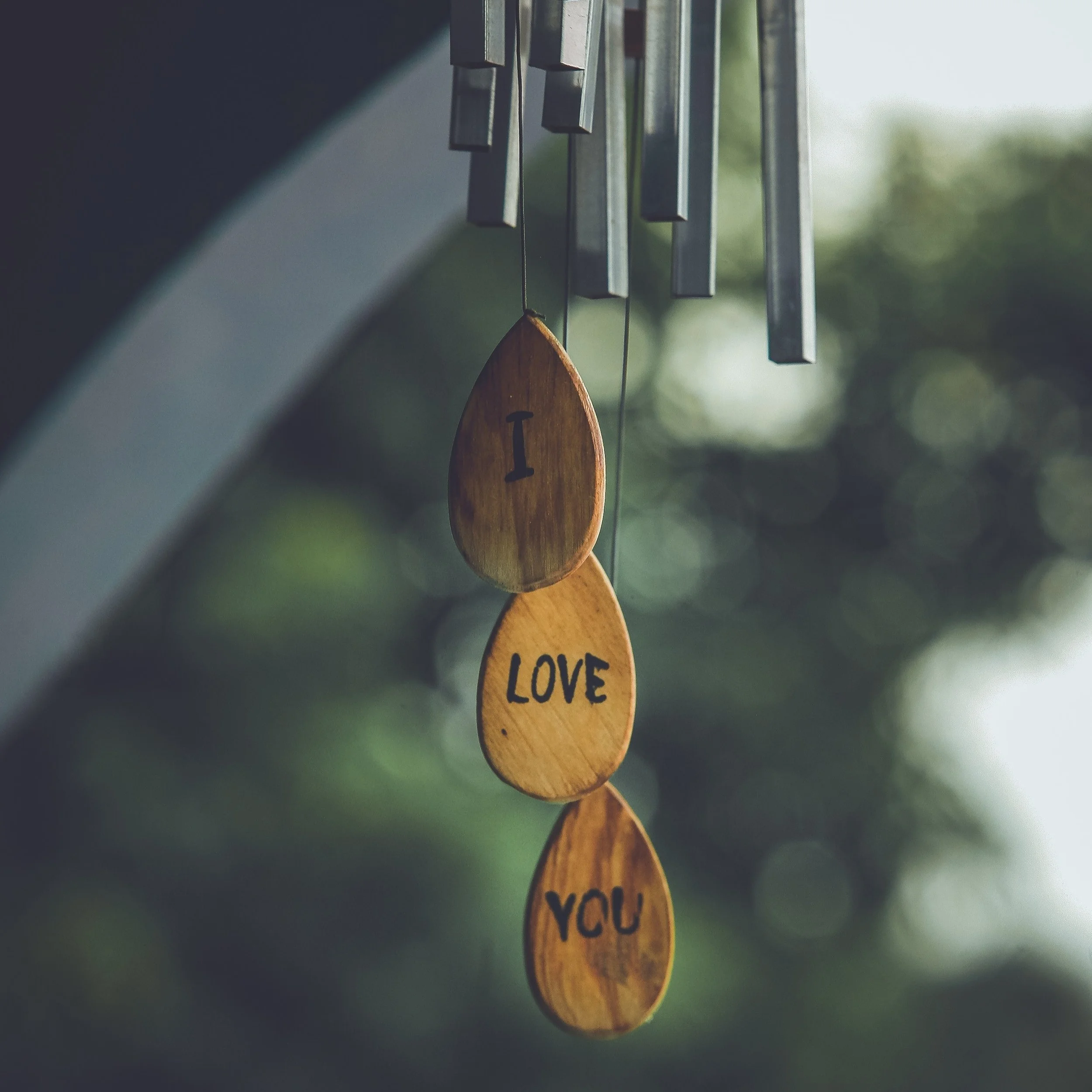 Image courtesy of Unsplash