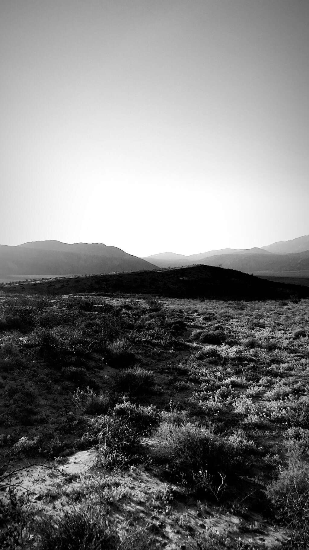 Anza-Borrego