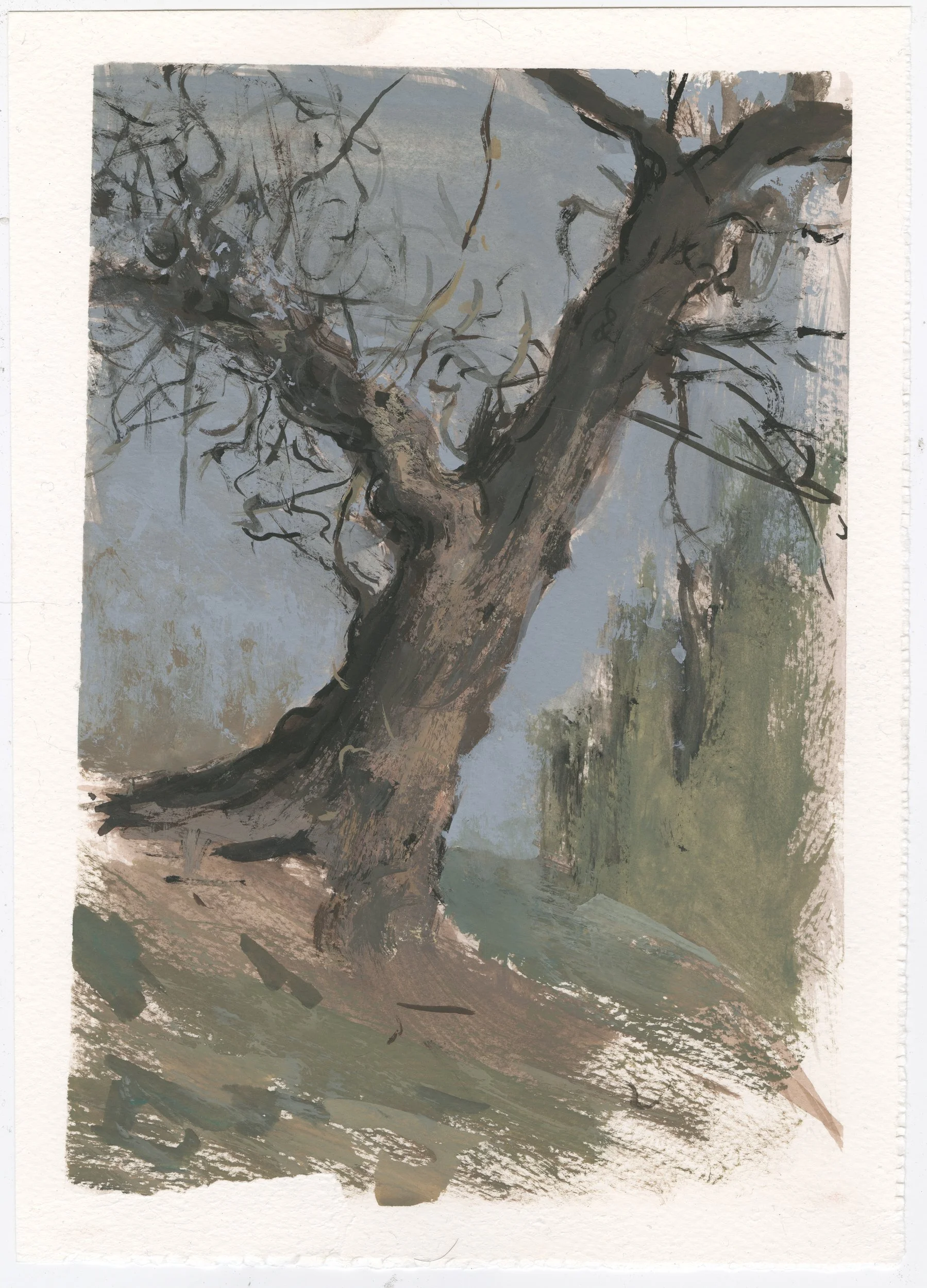 Scan 3.jpg
