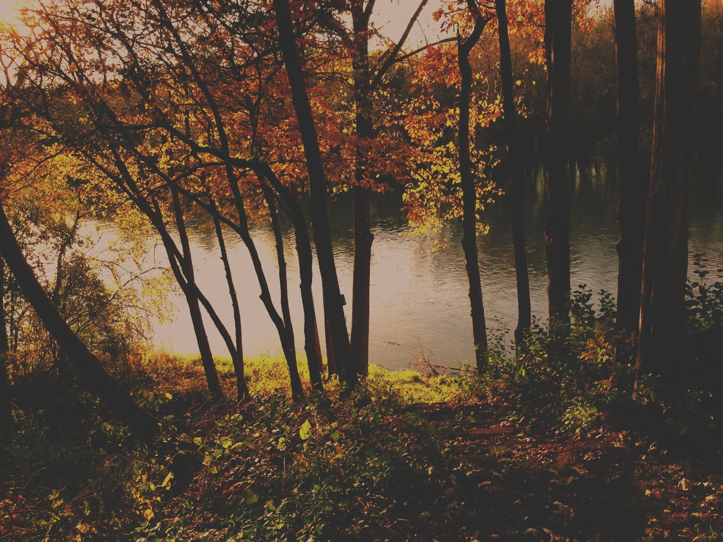 Rock+River+Janesville+WI.jpg