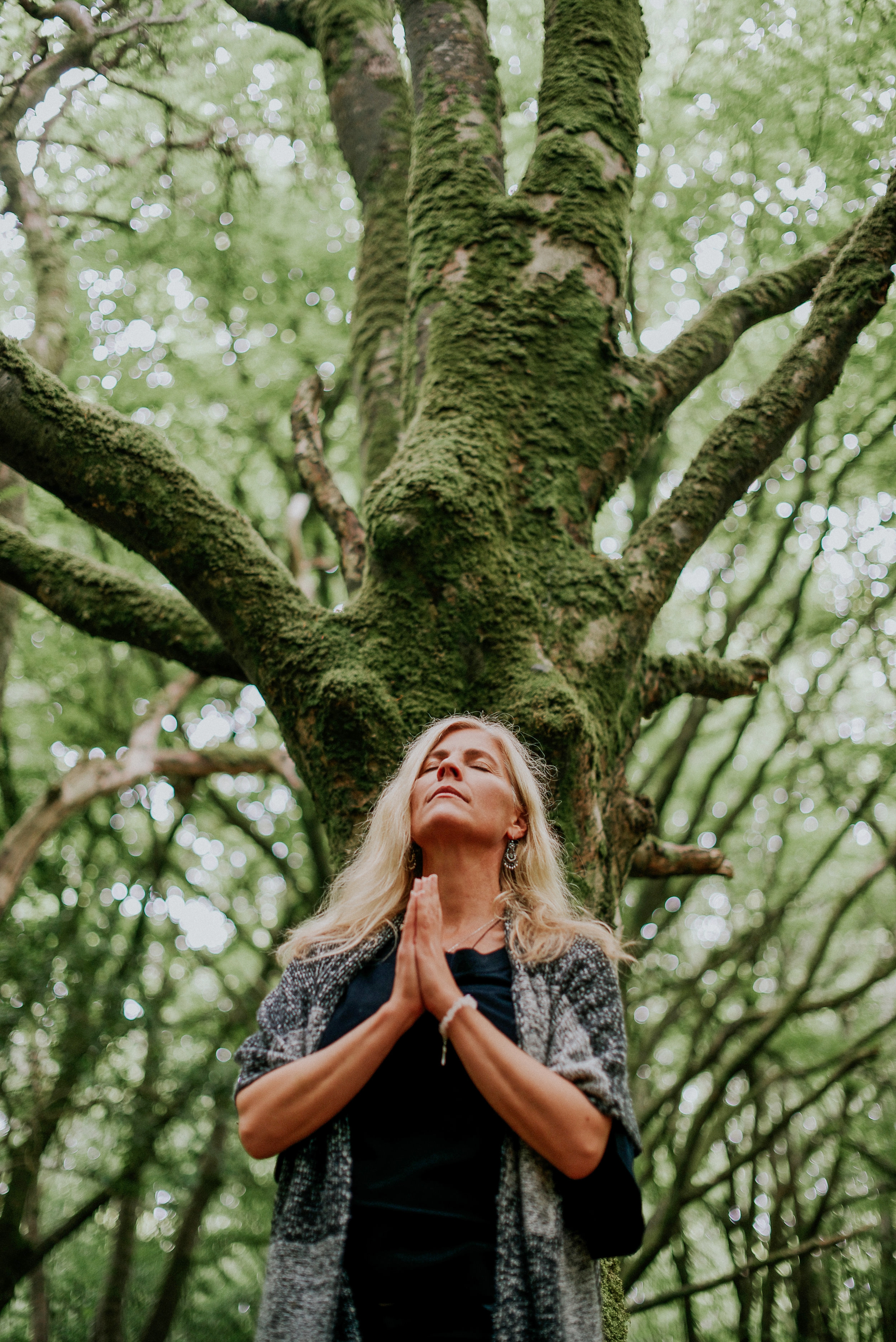 The Goddess Tree, my oracle and guide. Barna Woods, Galway (photo, Saibh Egan)