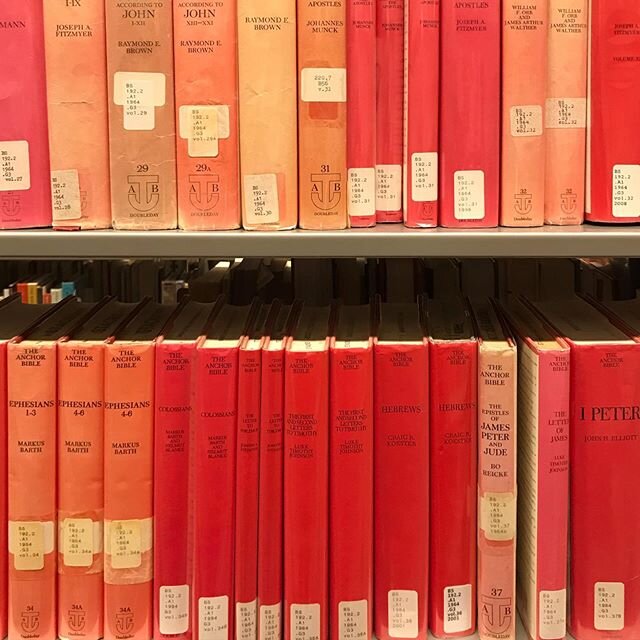 The variety of colors within the sun-bleached volumes of The Anchor Bible at the Central Library.