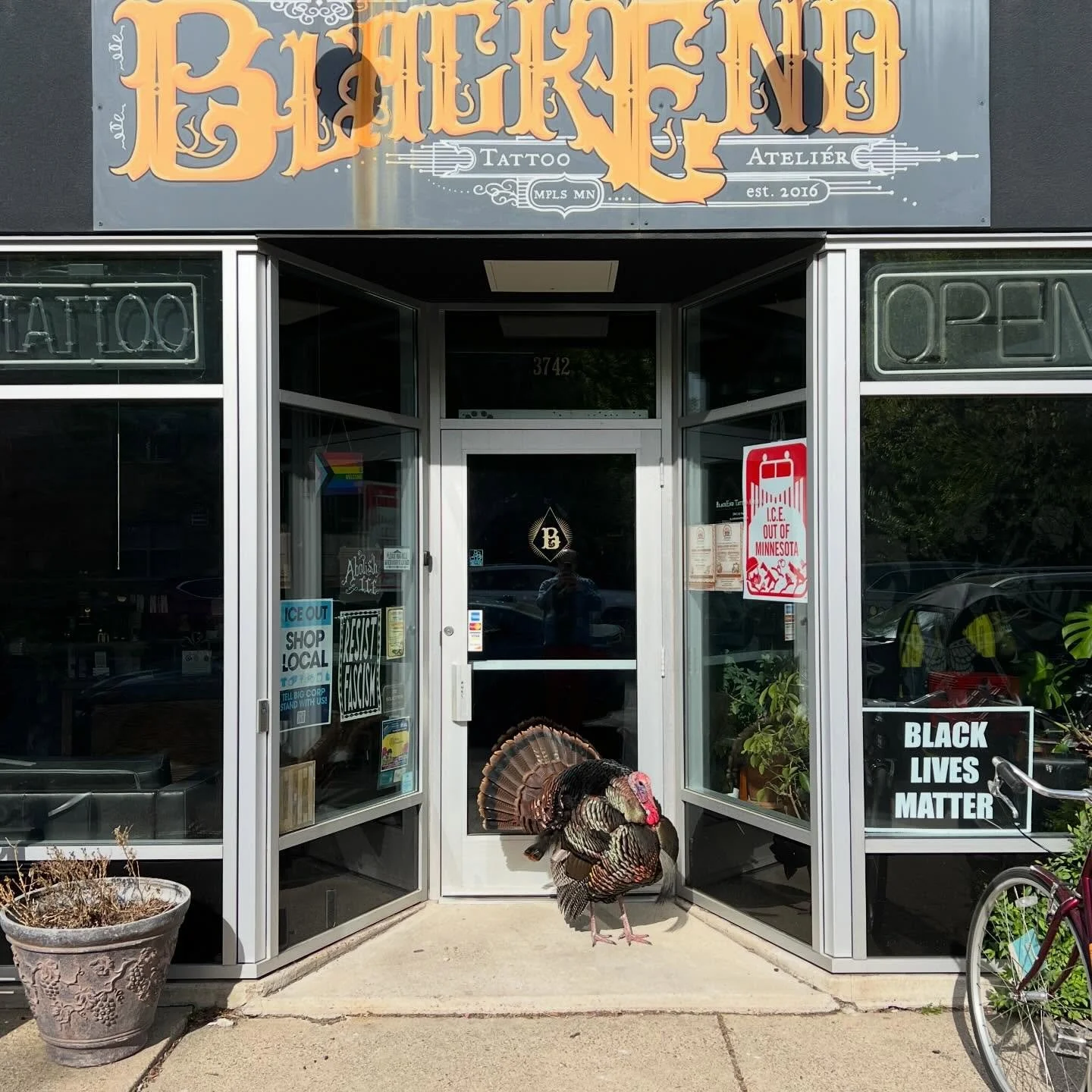 Jake waiting for BlackEnd to open so he can get some new ink. I love turkeys wandering around south Minneapolis like they own the place. Give me your hot turkey take! #urbanturkey #southmpls #jaketheturkey