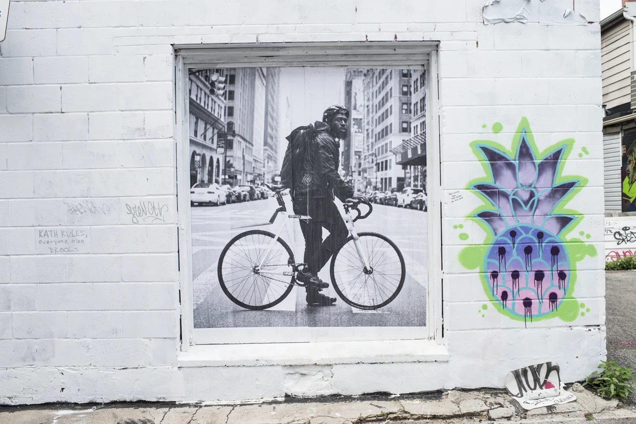 Life Cycles, 2015.