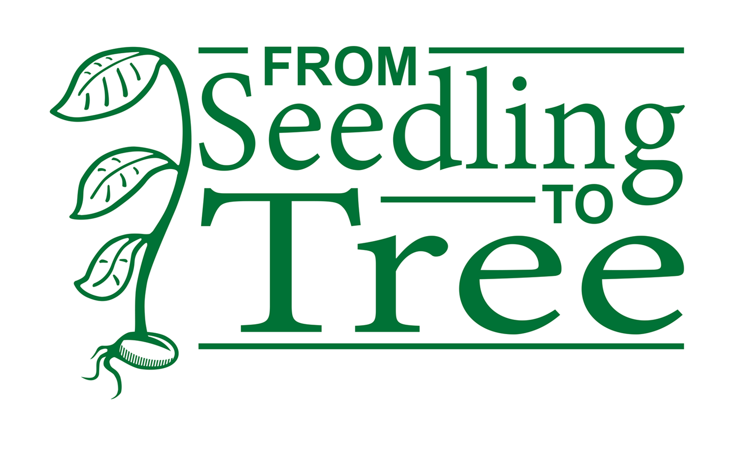 From Seedling to Tree