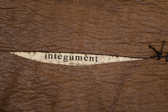 Integument (Cover Detail)