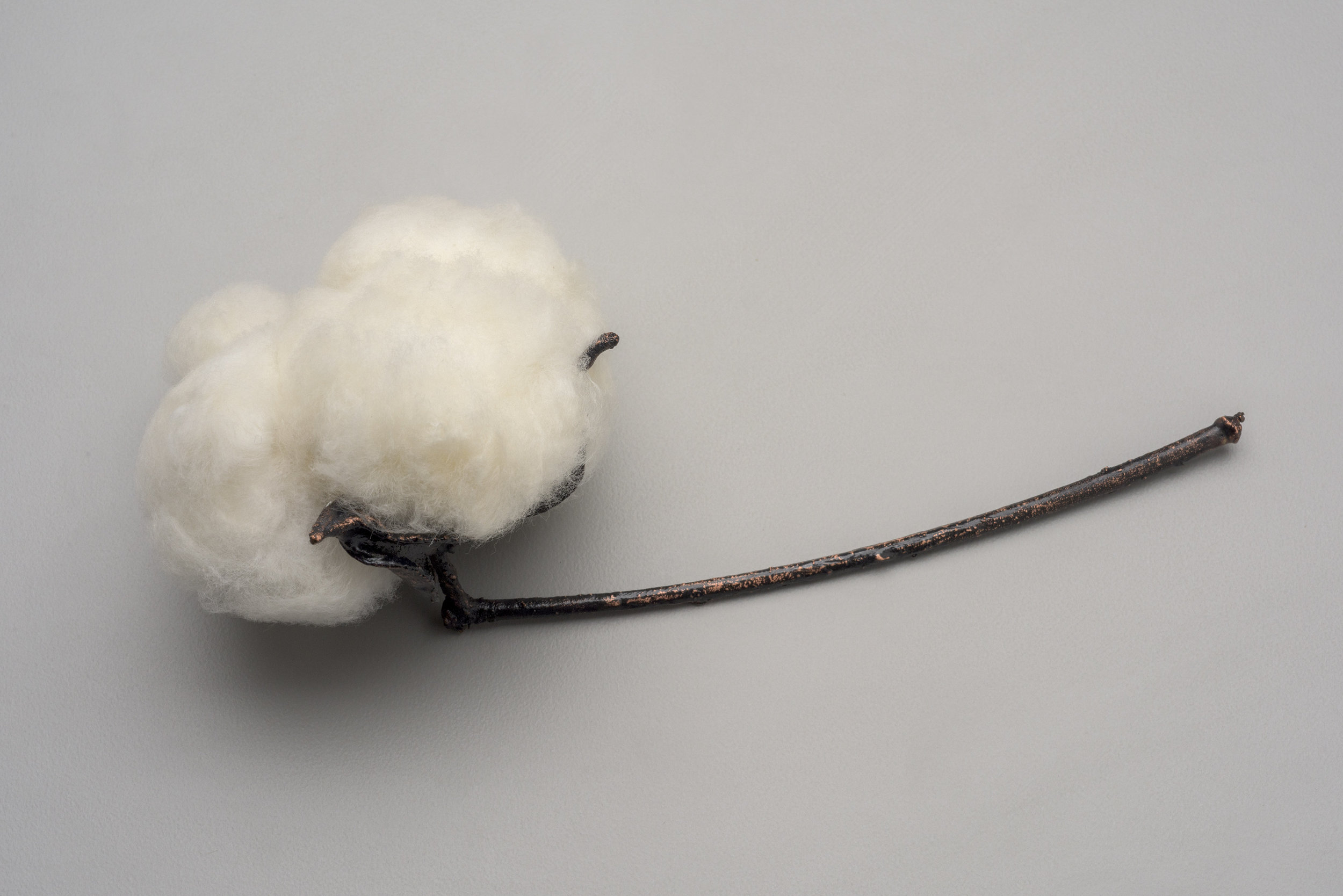cotton heritage 2.jpg