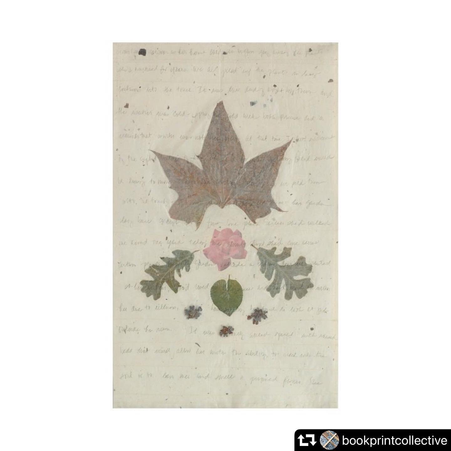 @bookprintcollective
Takeover Day 3
@societyofcraft 
Central Rose, Maple, Oak - 23&quot;H x 14&quot;W; Paper, thread, graphite, pigment print, leaves (maple, oak), zinnias

#alisabanks #abanksart #artistbooks #bookart #mixedmediaart #multimediaart #s