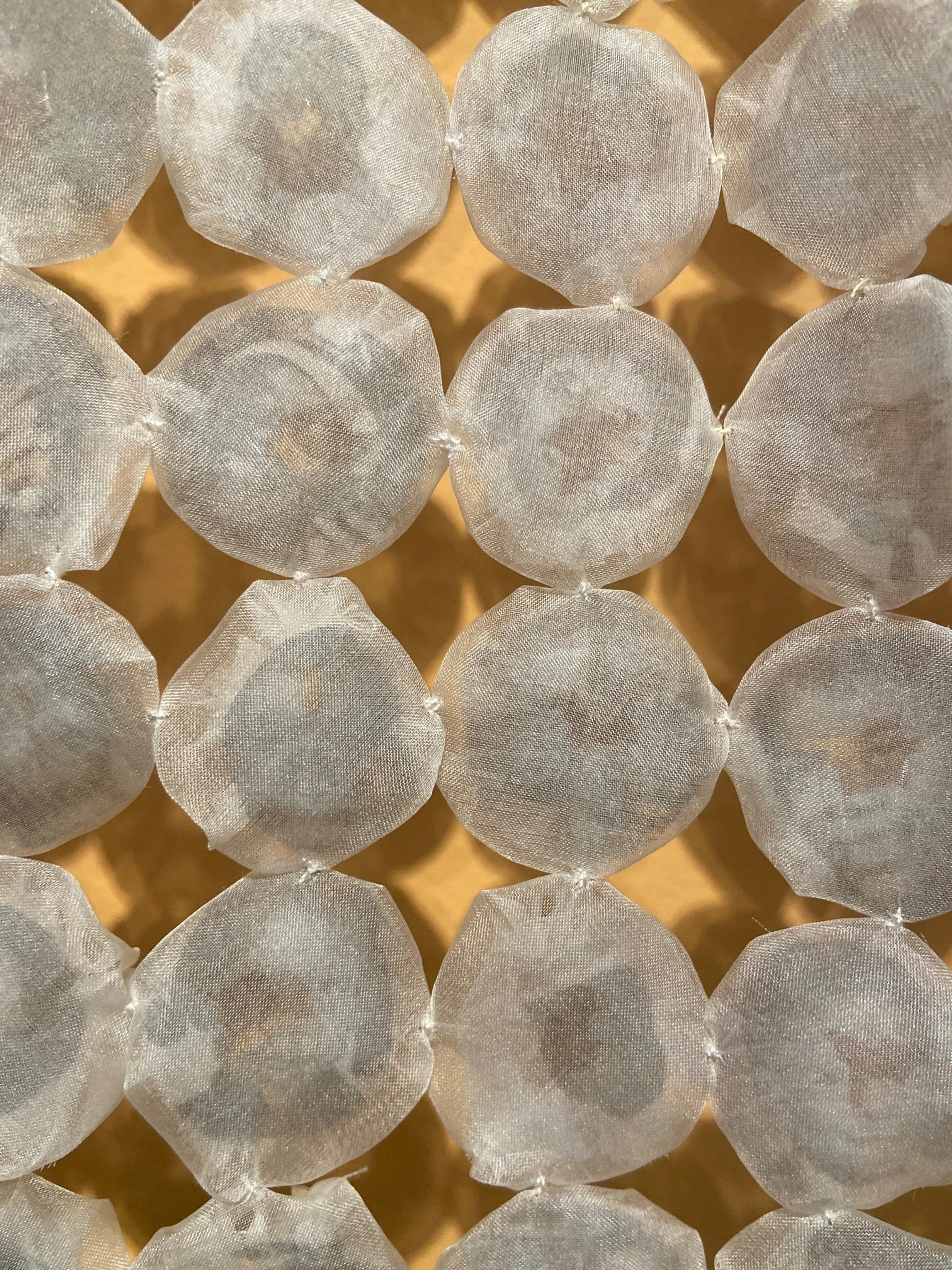 Ancestor's Hopes and Dreams, detail