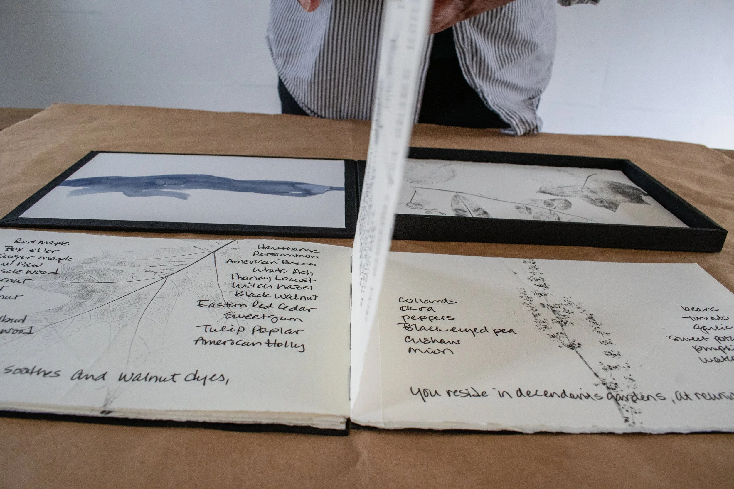 Tracings, detail