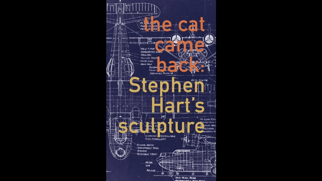 CAT cover small.jpg