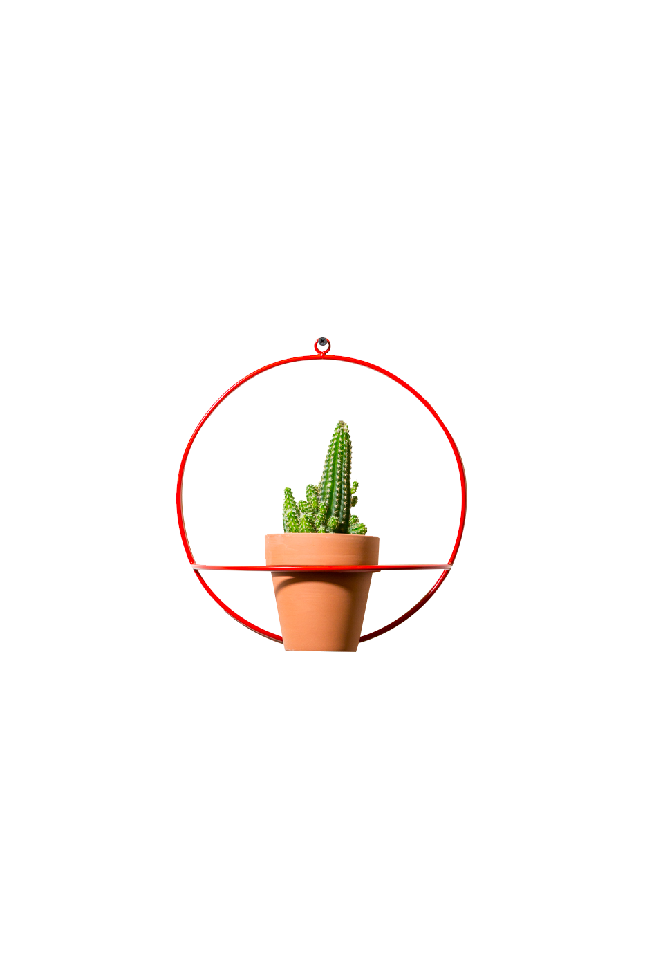 Image (4) (1).png