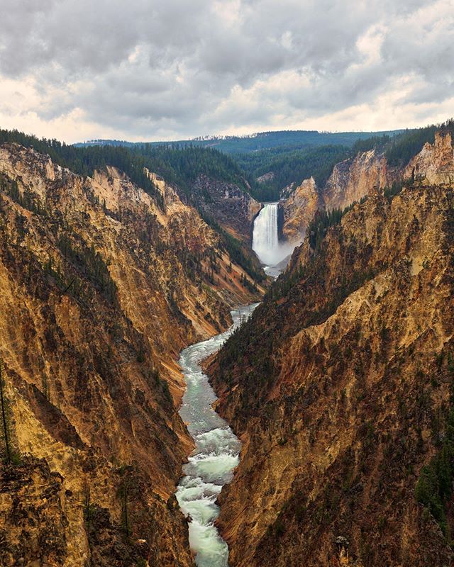 This is not where Thomas Moran painted &quot;The Grand Canyon of the Yellowstone&quot;, but it very well could have been the location. #ArtistPoint #YellowStone #YourShotPhotographer #Nikon #d850
