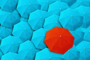 Fotolia_95256115_XS-e1453858175169-300x201.jpg