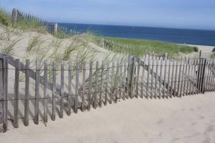 cape cod.jpg