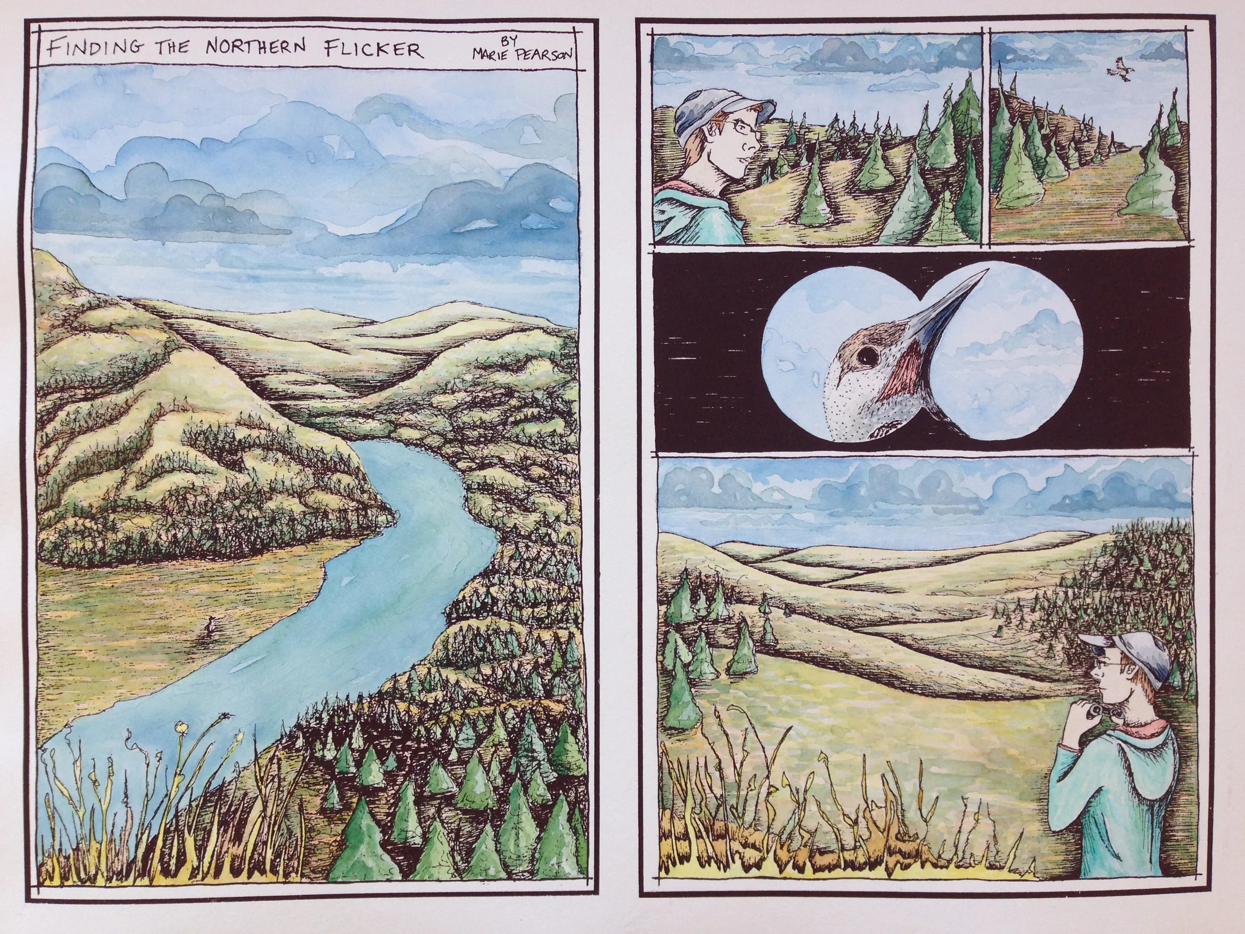 Finding the Northern Flicker