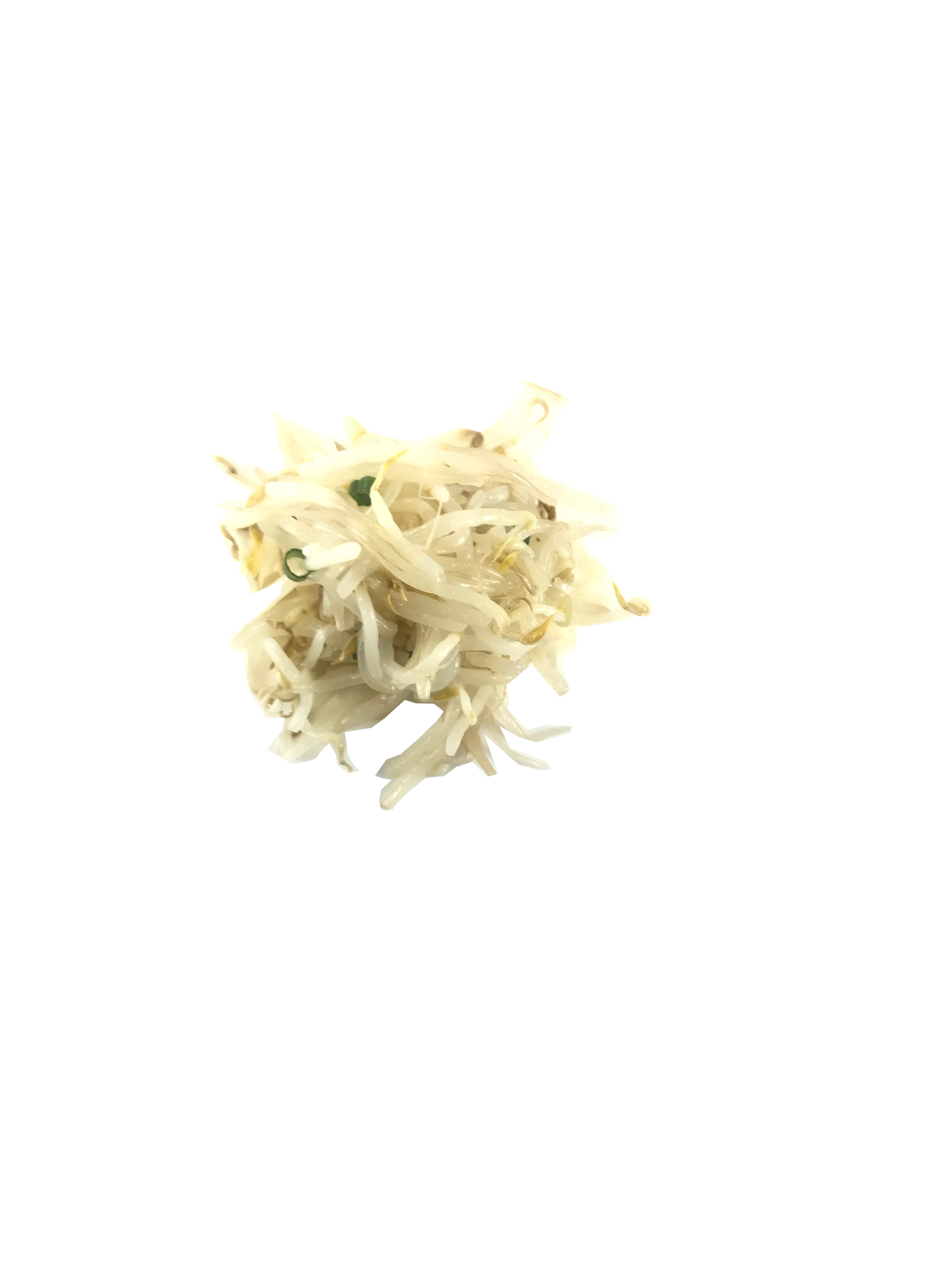 beansprout.png