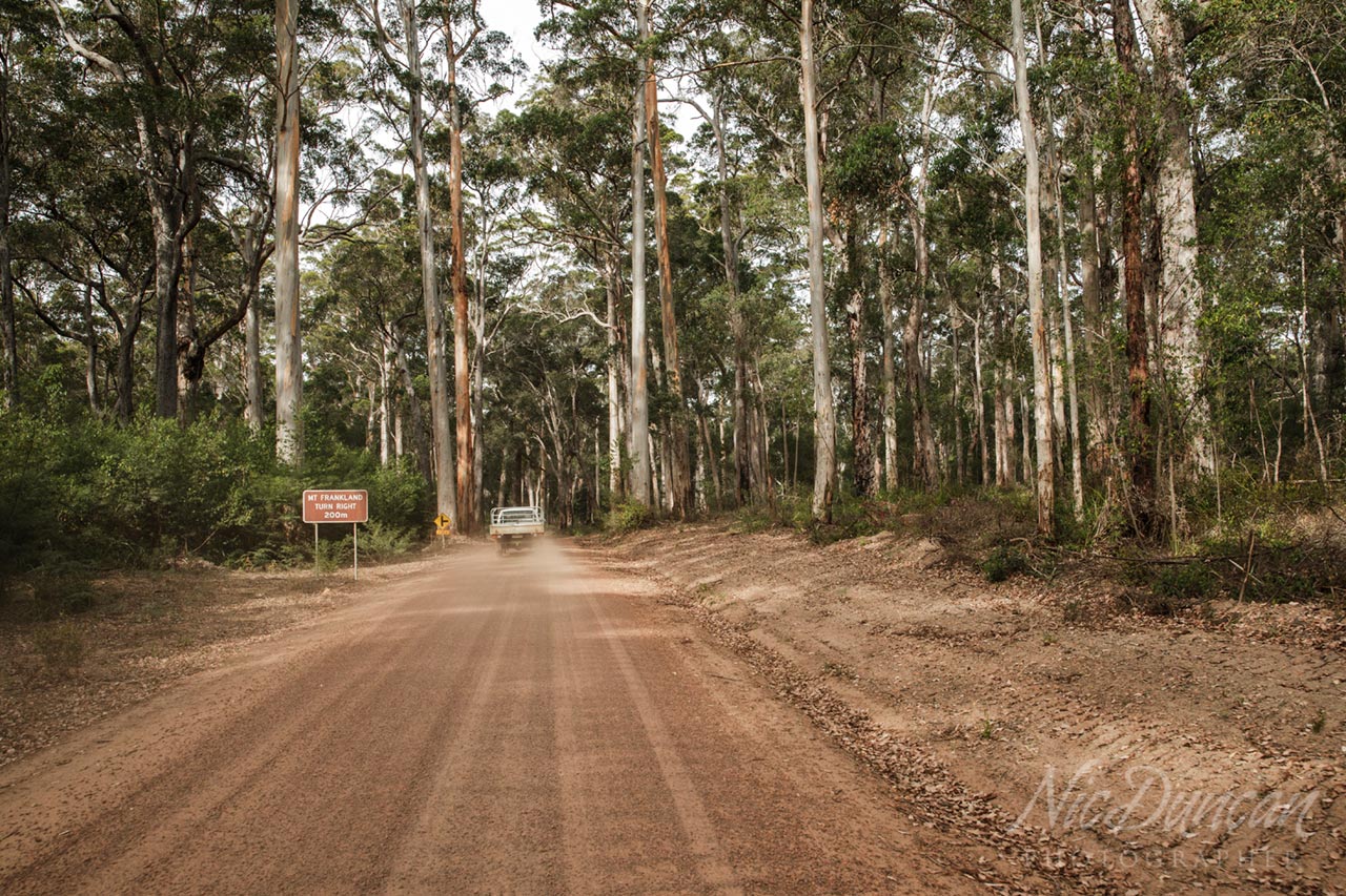 Driving on dirt roads through the forest in Walpole Western Australia