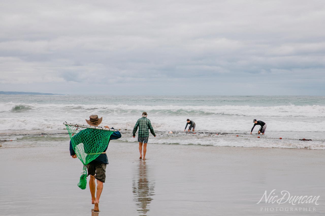 These Australian salmon are caught for restaurants so great care is taken of the fish.