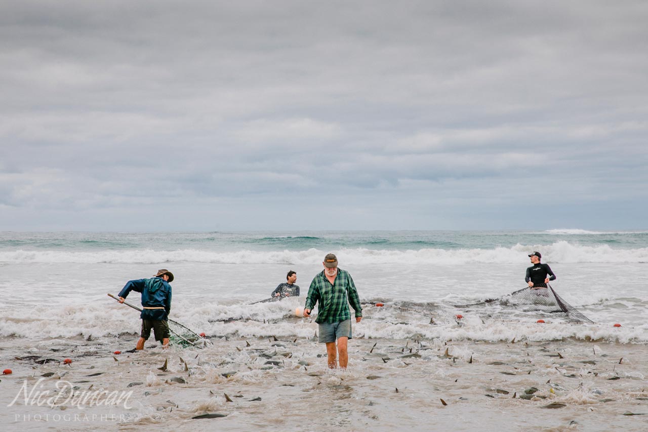 Les Pinniger has been working at the salmon camp for 50 years now.