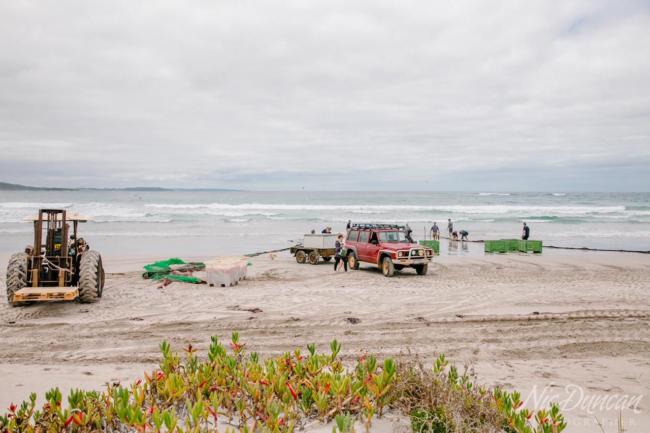 Australian salmon season on the amazing south coast, Denmark WA