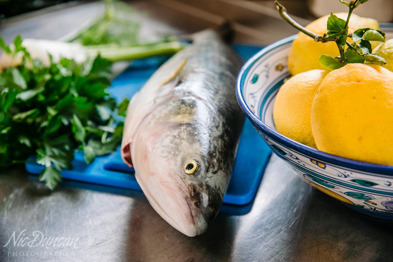 Ready to make Australian salmon patties with plenty of fresh herbs and lemon juice.