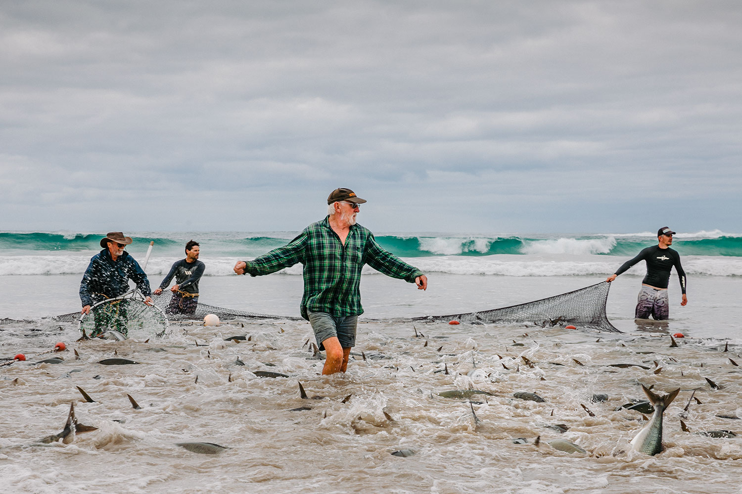 Australian salmon fishing