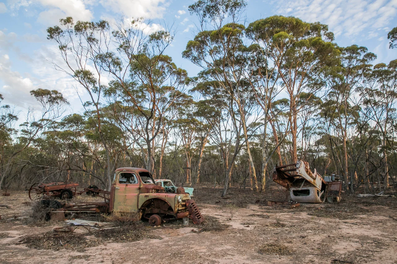 Carnaby’s, out the back of Lake Grace - where old cars go to die