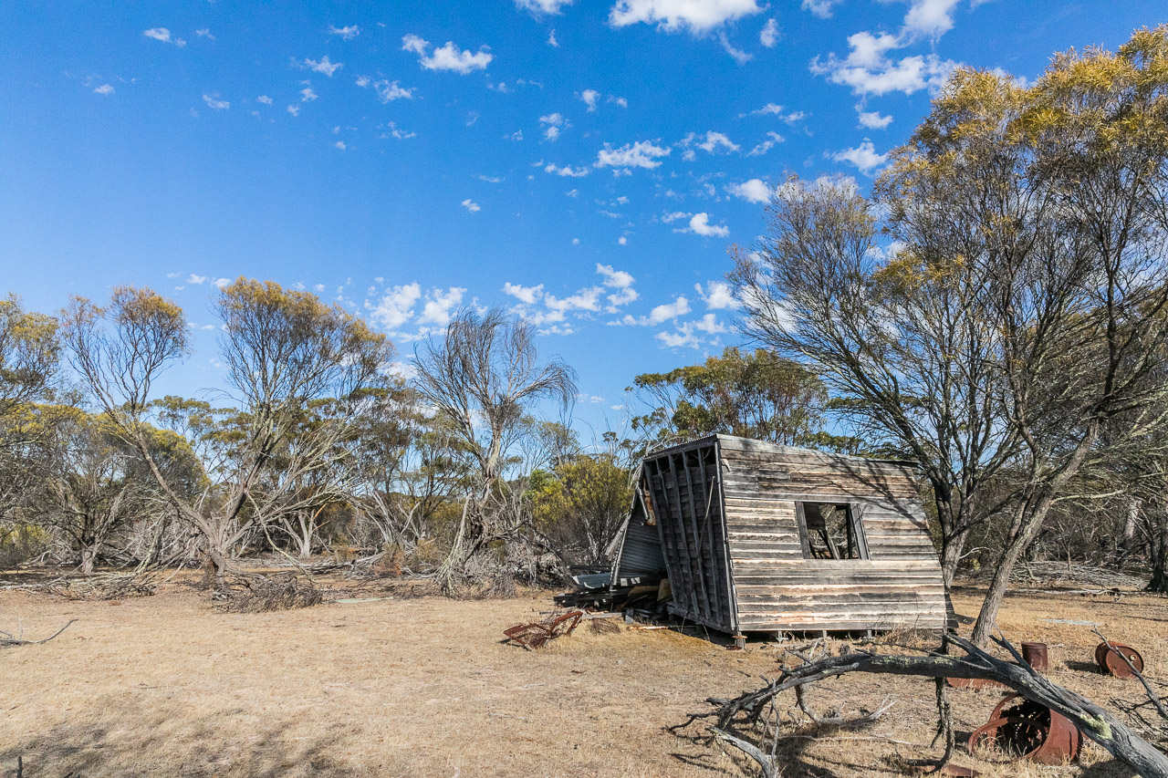 An early settler's shack in the bush, now abandoned