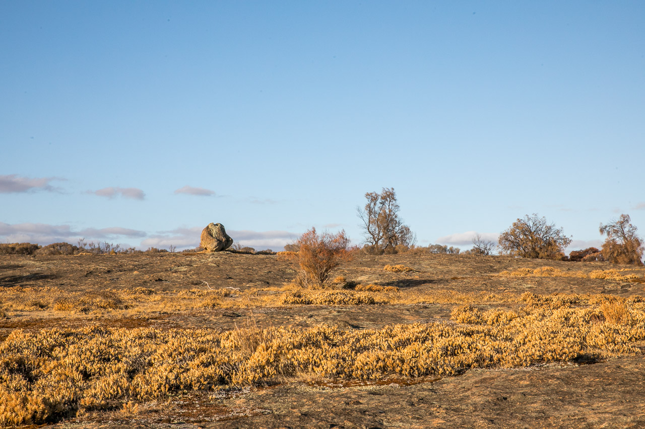 Granite outcrop and large boulder, with native flora in WA's wheatbelt town of Lake Grace